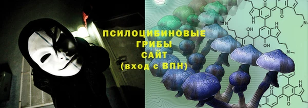 СК Алексин