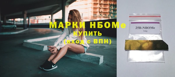 СК Алексин