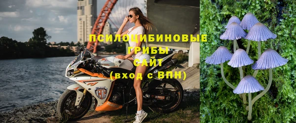 спайс Алзамай