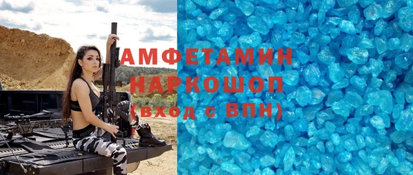 СК Алексин