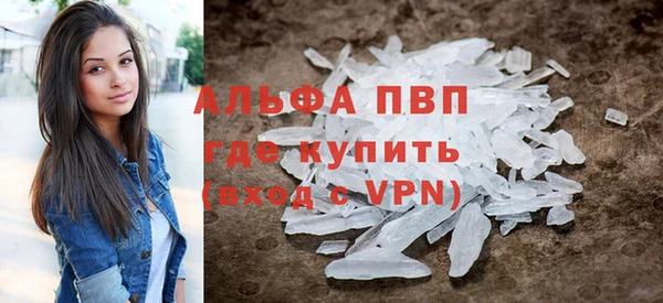 СК Алексин