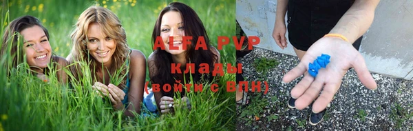 СК Алексин