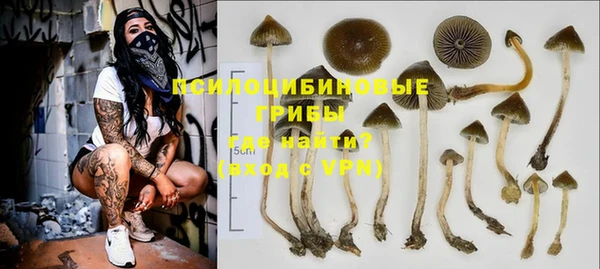 СК Алексин
